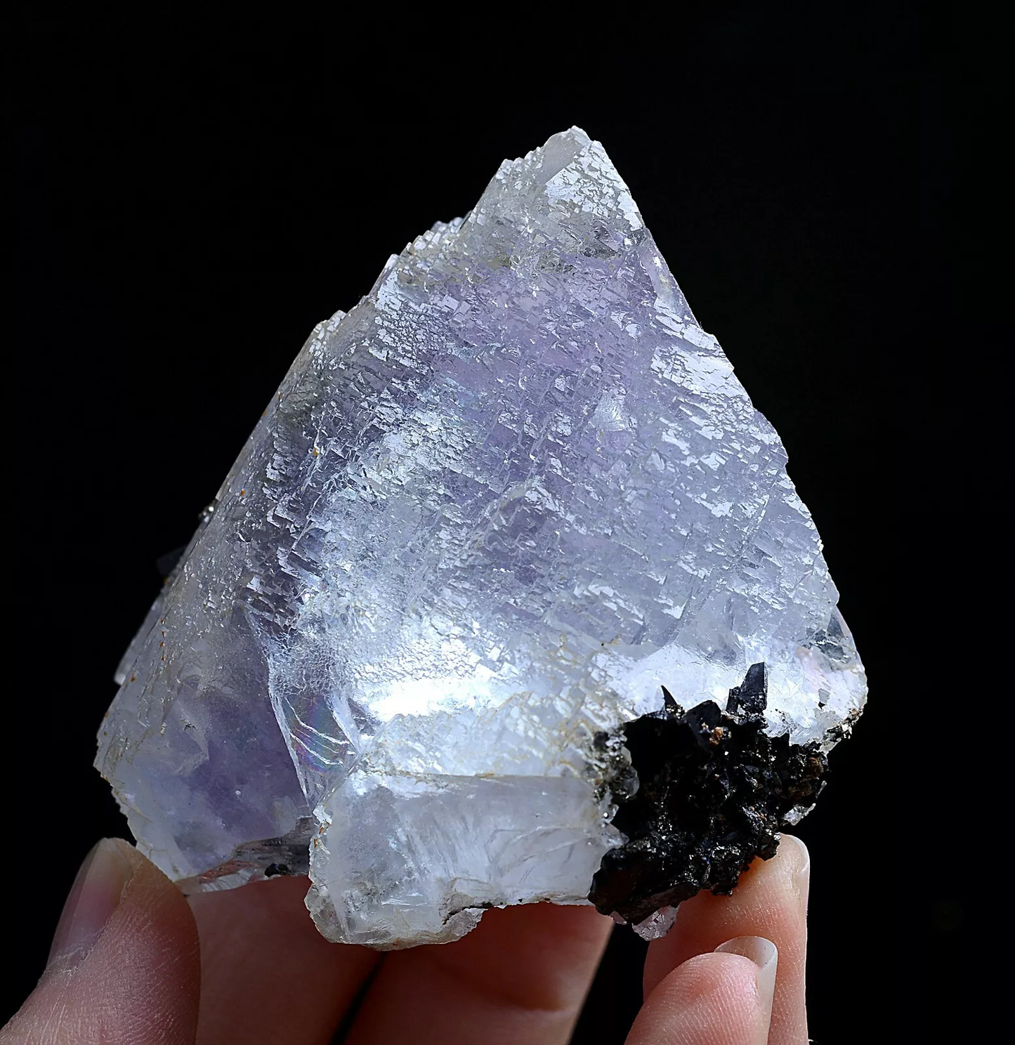 201g Natural Purple FLUORITE & Pyrite Wolframite Mineral Specimen/ Yaogang xian