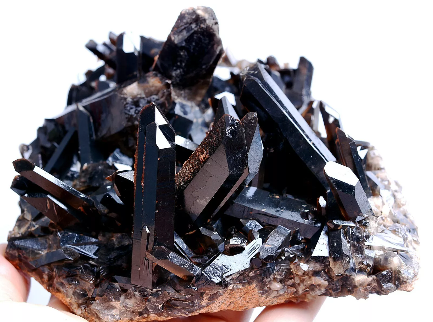 784g Natural Rare Smoky & Black QUARTZ Crystal Cluster Mineral Specimen