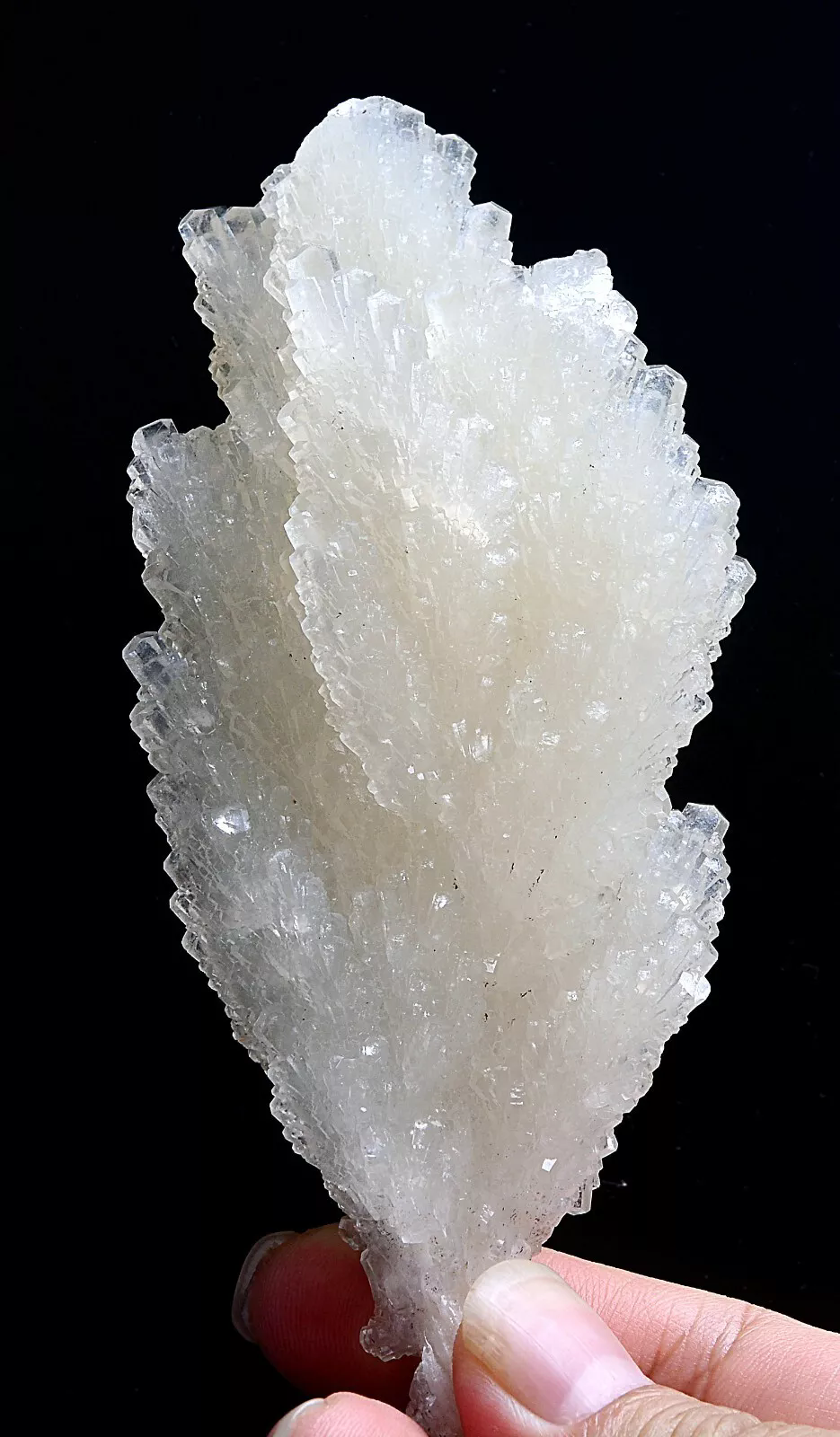 241.g Natural Fluorescent “Angel Wings” White Calcite Crystal Mineral Specimen