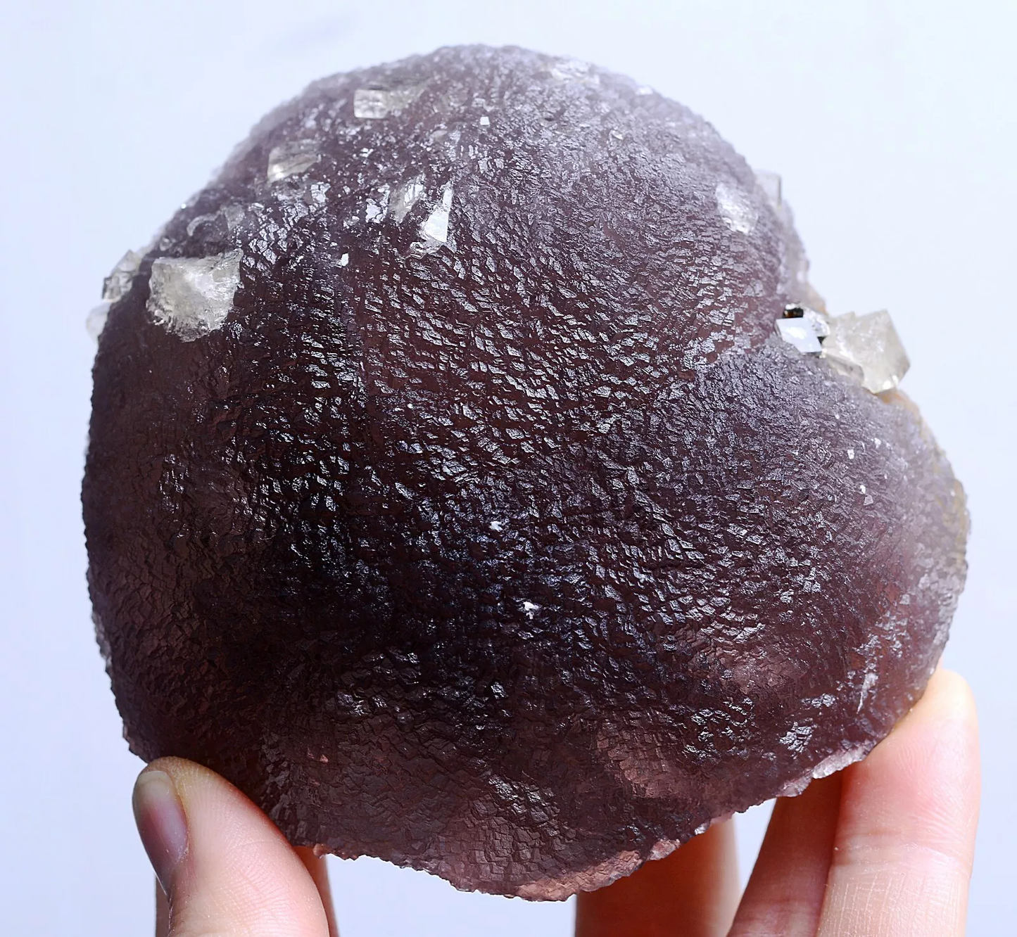 551g NATURAL COMPLETE BEAUTY GRAY & PURPLE FLUORITE CRYSTAL MINERAL SPECIMEN