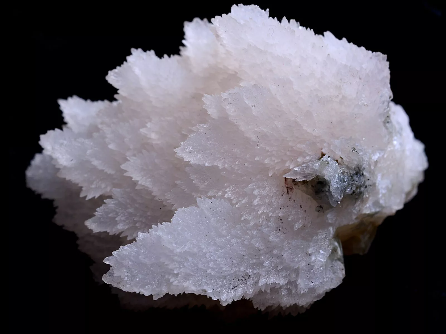 84.5g Natural Complete “Angel Wings” Fluorescent Pink Calcite Mineral Specimen