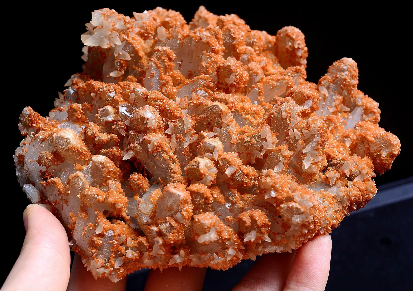 667gNatural New Varieties Rootless Red CRYSTAL CLUSTER Calcite Mineral Specimen