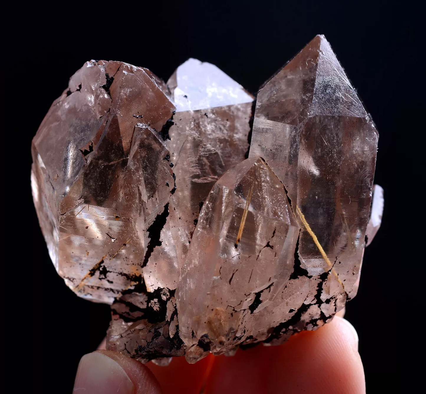 58g Natural Clear Gold Rutilated Skeletal Quartz Crystal Mineral Specimens