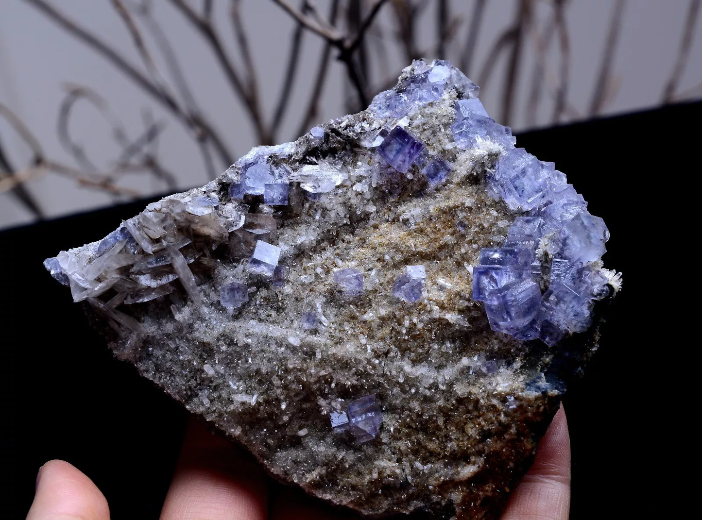 221.1g MUSEUM COLLECTION NEWLY DISCOVERED RARE PURPLE FLUORITE MINERAL SAMPLES