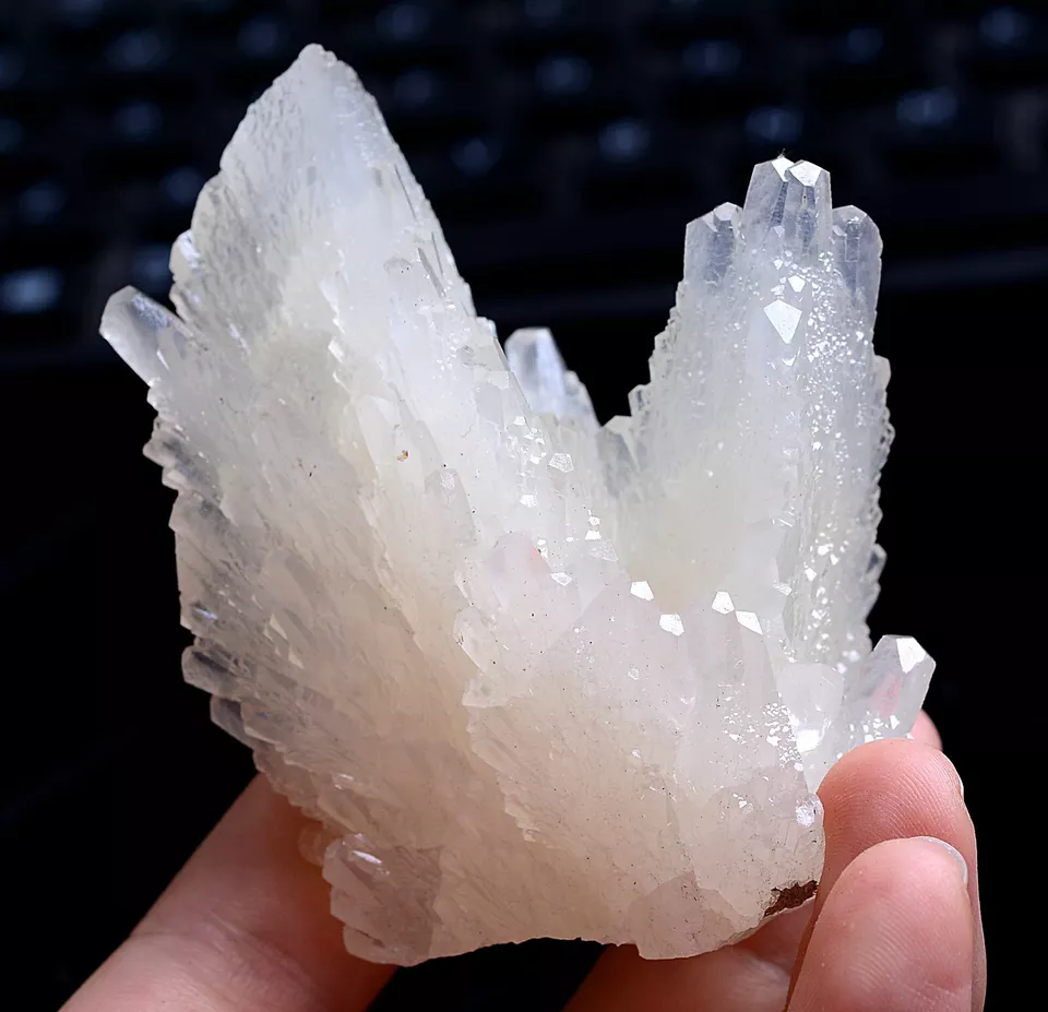 125.0g Natural Beautiful “Angel Wings” White Calcite Mineral Specimen/China