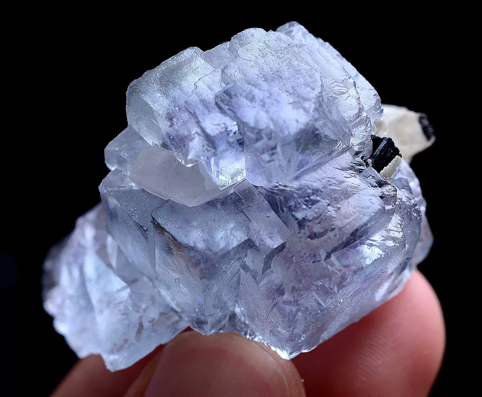 31g Natural Purple Fluorite & Wolframite Mineral Specimen/ Yaogangxian China