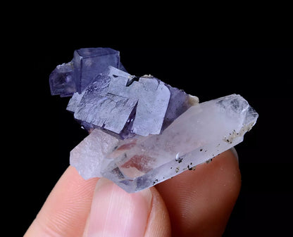 NEWLY DISCOVERED RARE FLUORITE & CRYSTAL SYMBIOTIC MINERAL SAMPLES  11.86g