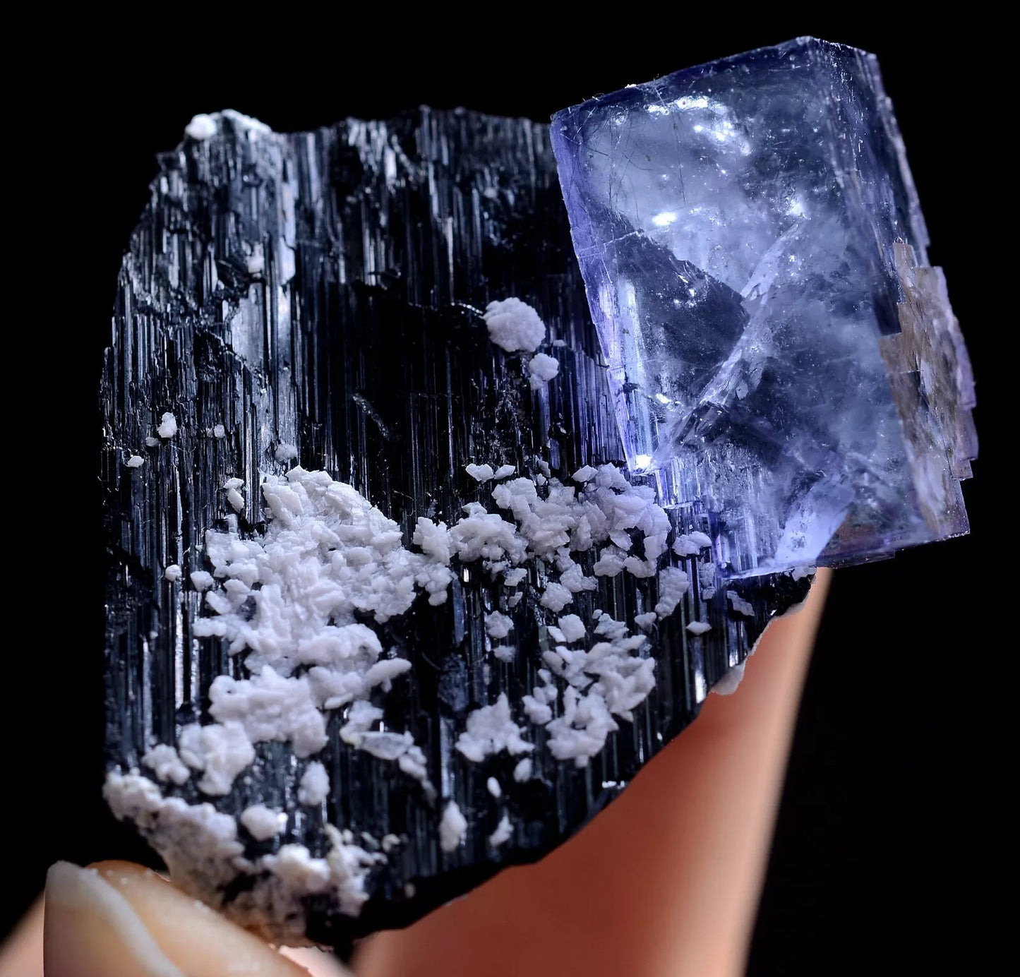 42gNatura Bismuthinite Purple FLUORITE Wolframite Mineral Specimen/Yaogang xian