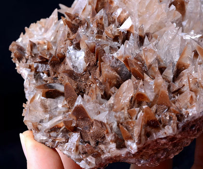 Newly Find Natural Red Swallow-Tail Twin Crystal Calcite Mineral Specimen  477g