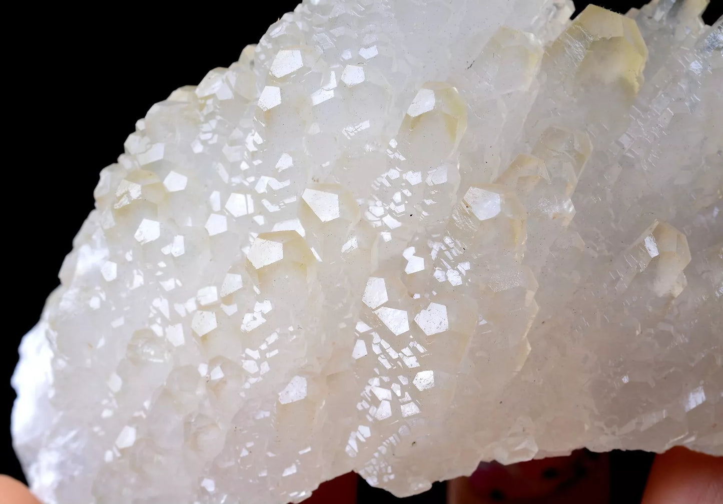 203.5g Beautiful “Angel Wings” White Calcite Crystal Mineral Specimen/China