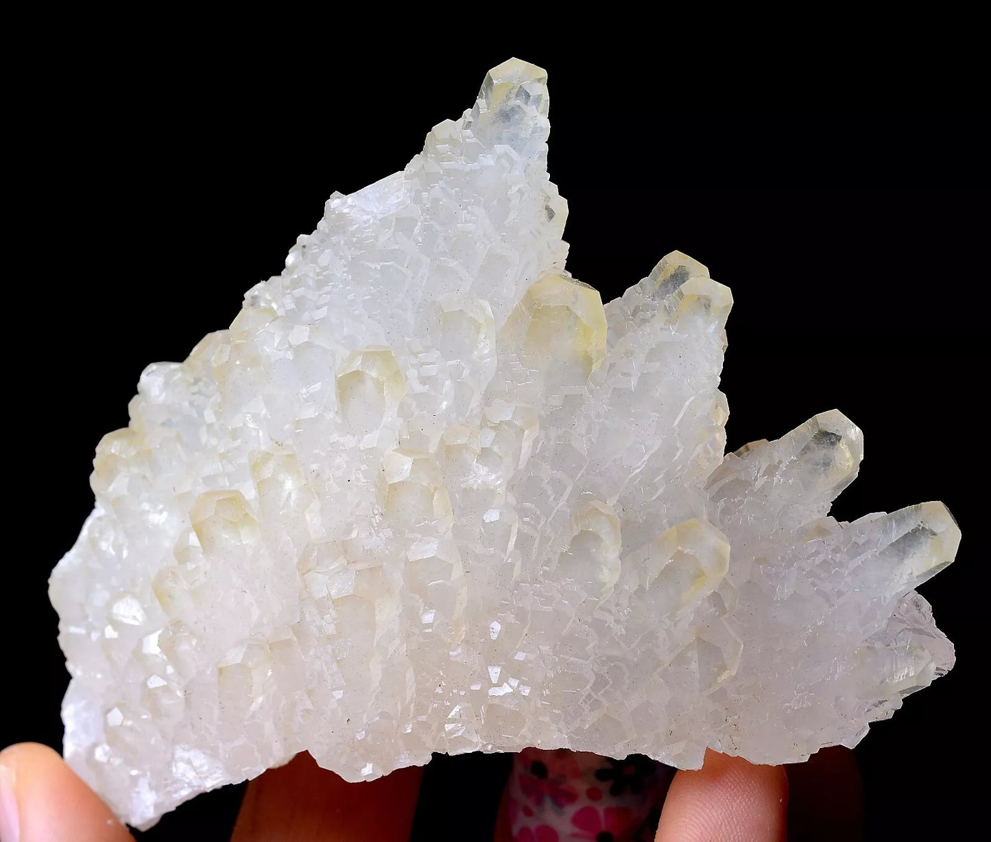 203.5g Beautiful “Angel Wings” White Calcite Crystal Mineral Specimen/China