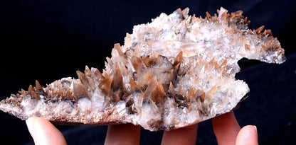 China / Newly Natural Swallow-Tail Twin Crystal Calcite Mineral Specimen 243g