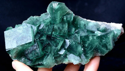 799g NATURAL Beauty Green Cubic FLUORITE Crystal Cluster Mineral Specimen