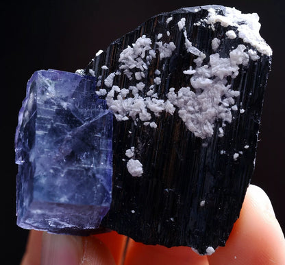 42gNatura Bismuthinite Purple FLUORITE Wolframite Mineral Specimen/Yaogang xian