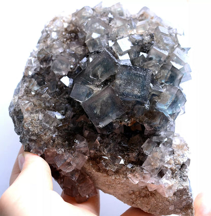 726gTransparent Blue-Green Cube Fluorite CRYSTAL CLUSTER Mineral Specimen/China