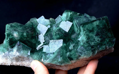 799g NATURAL Beauty Green Cubic FLUORITE Crystal Cluster Mineral Specimen