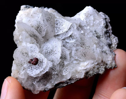 33.77gNatural Rare fish Scaly Calcite & 7Colored Pyrite Mineral Specimen/China