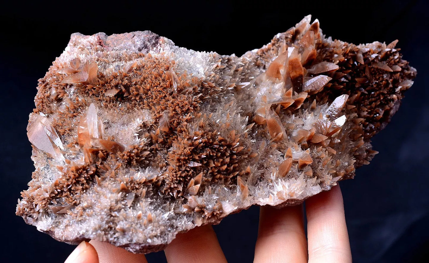 Newly Find Natural Red Swallow-Tail Twin Crystal Calcite Mineral Specimen 393g