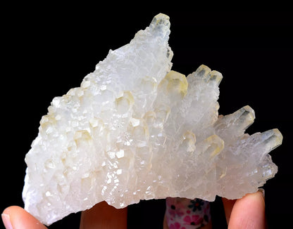 203.5g Beautiful “Angel Wings” White Calcite Crystal Mineral Specimen/China