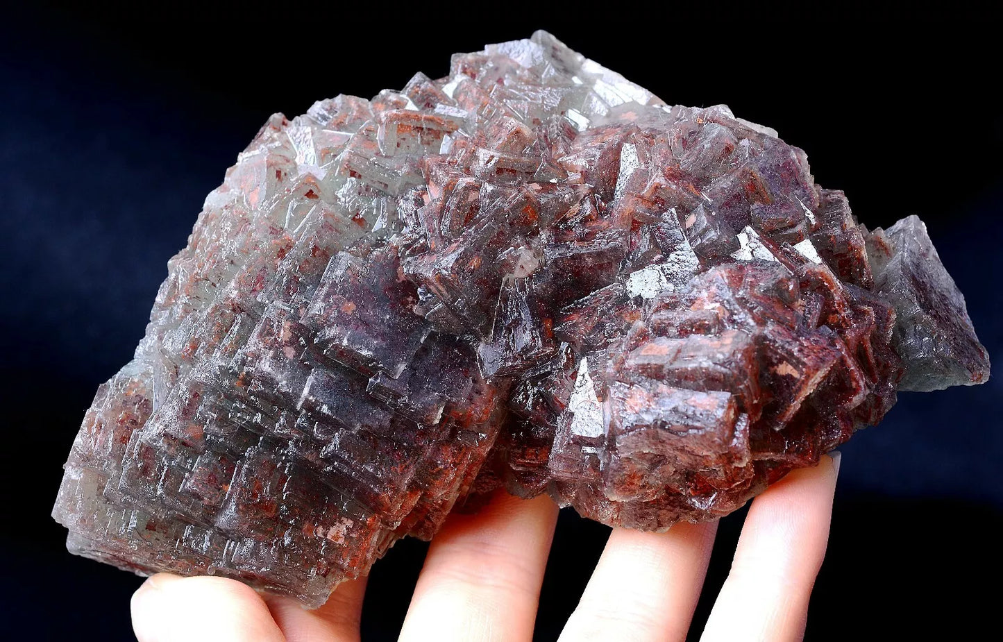 434g Natural Transparent Red "Phantom" Cube Fluorite Cluster Mineral Specimen