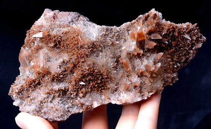 Newly Find Natural Red Swallow-Tail Twin Crystal Calcite Mineral Specimen 393g