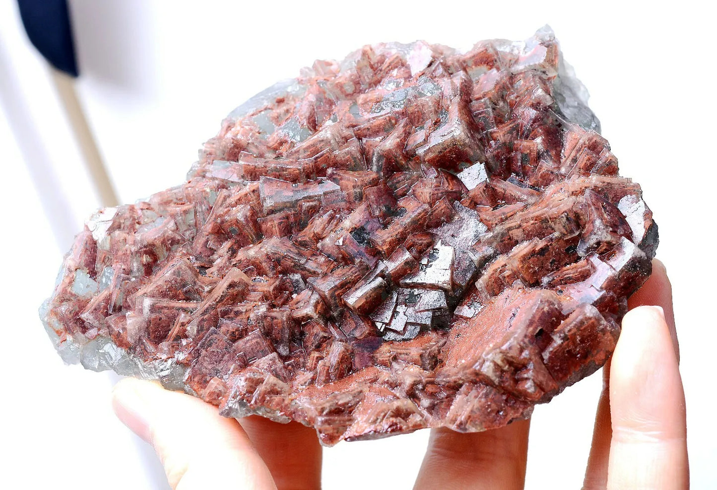 411g Natural Transparent Red "Phantom" Cube Fluorite Cluster Mineral Specimen