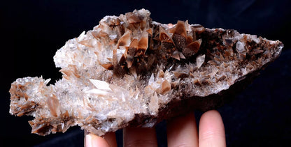 China / Newly Natural Swallow-Tail Twin Crystal Calcite Mineral Specimen 243g