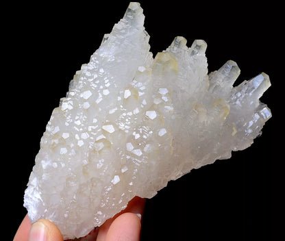 203.5g Beautiful “Angel Wings” White Calcite Crystal Mineral Specimen/China