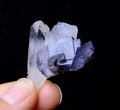 NEWLY DISCOVERED RARE FLUORITE & CRYSTAL SYMBIOTIC MINERAL SAMPLES  11.86g