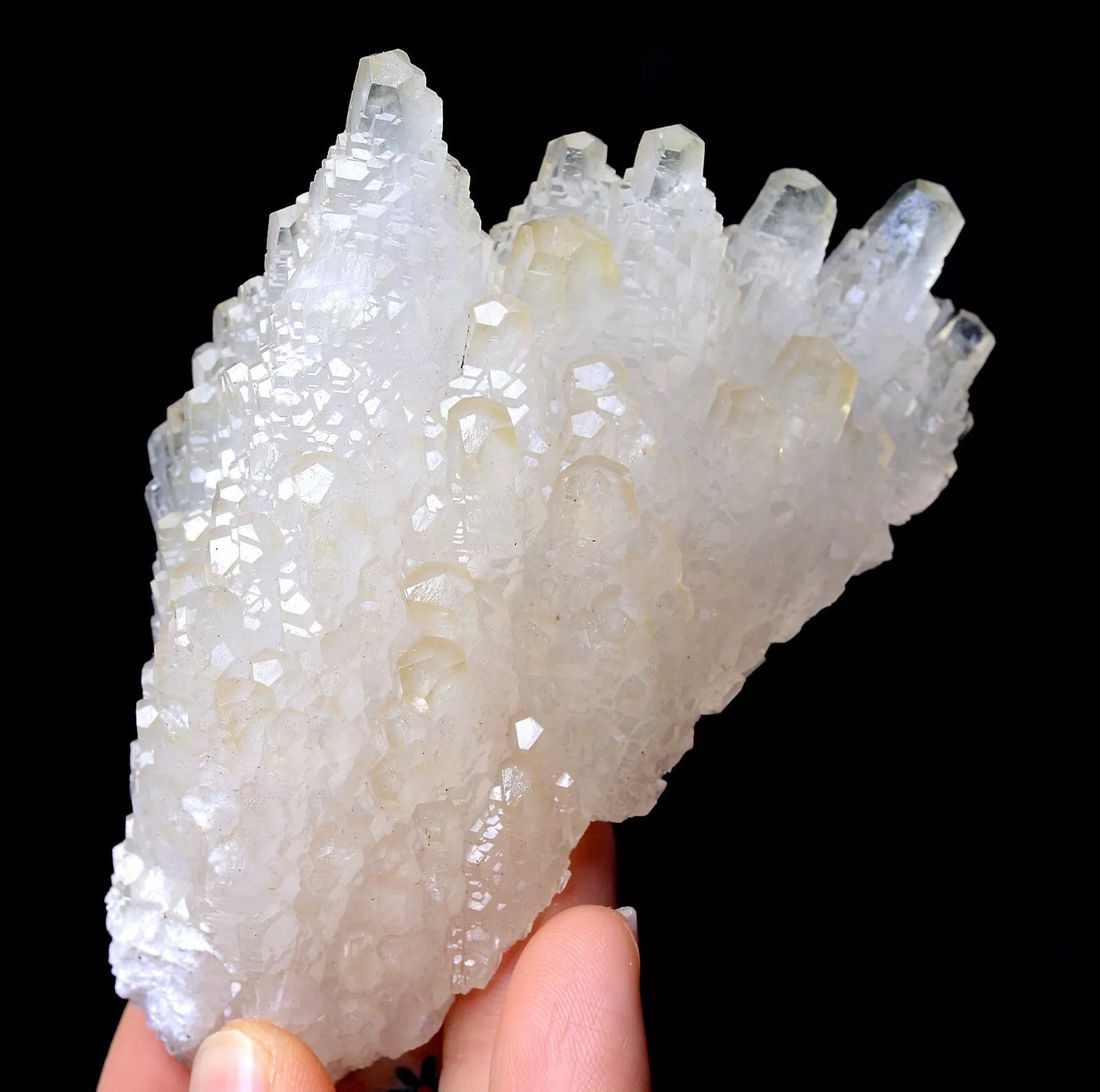 203.5g Beautiful “Angel Wings” White Calcite Crystal Mineral Specimen/China