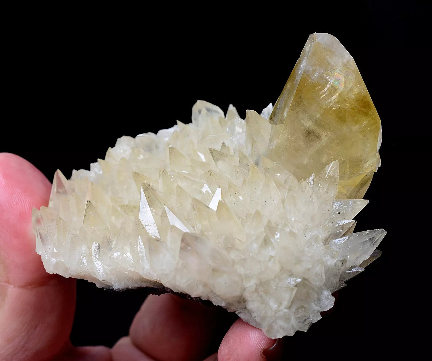 235gNatural Perfect Dipyramidal Yellow Calcite CLUSTER Mineral Specimen/China