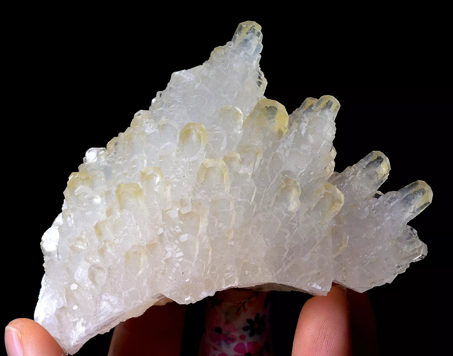 203.5g Beautiful “Angel Wings” White Calcite Crystal Mineral Specimen/China