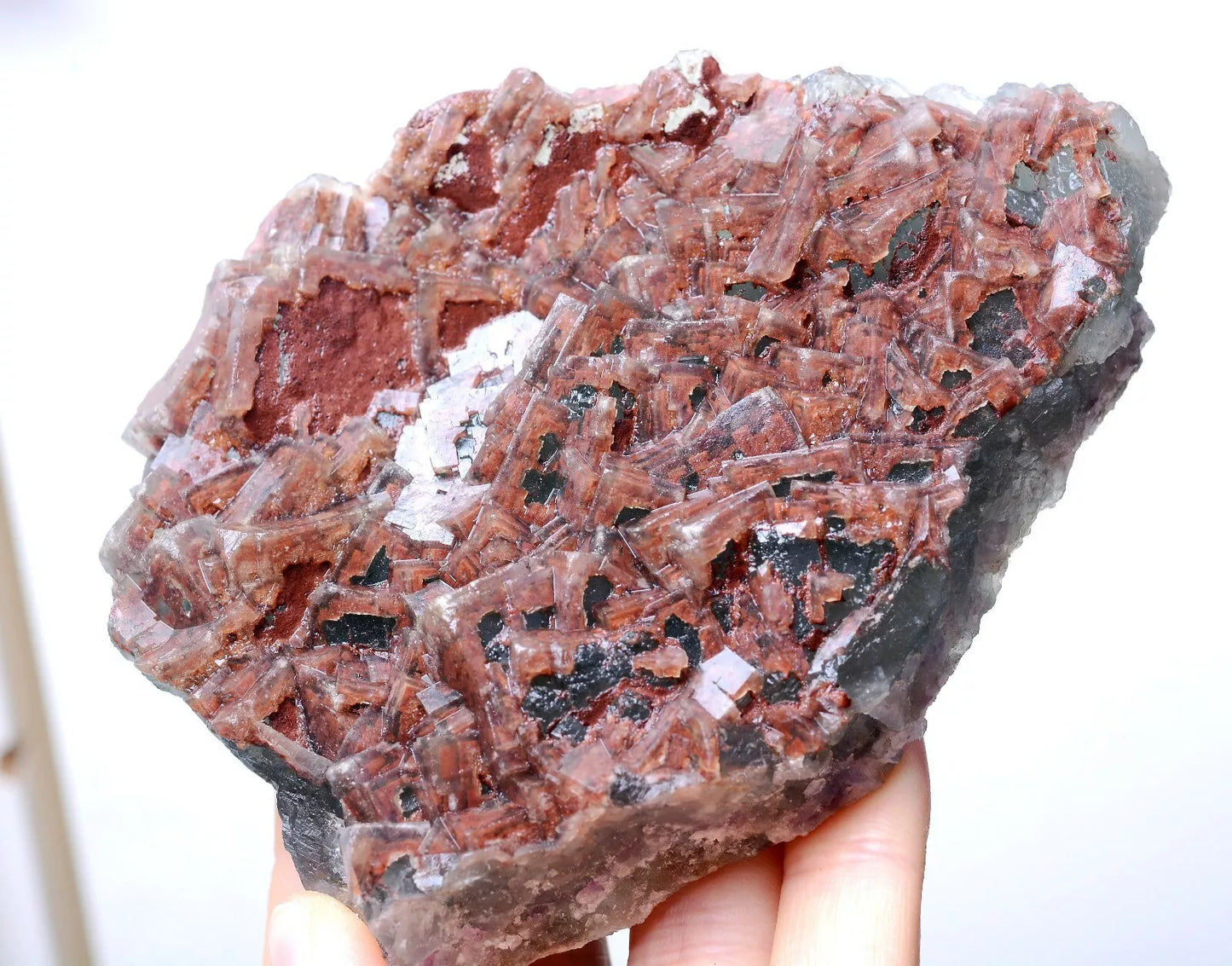 411g Natural Transparent Red "Phantom" Cube Fluorite Cluster Mineral Specimen