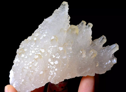 203.5g Beautiful “Angel Wings” White Calcite Crystal Mineral Specimen/China