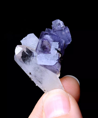 NEWLY DISCOVERED RARE FLUORITE & CRYSTAL SYMBIOTIC MINERAL SAMPLES  11.86g