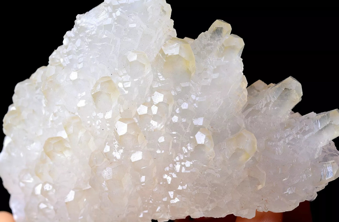 203.5g Beautiful “Angel Wings” White Calcite Crystal Mineral Specimen/China