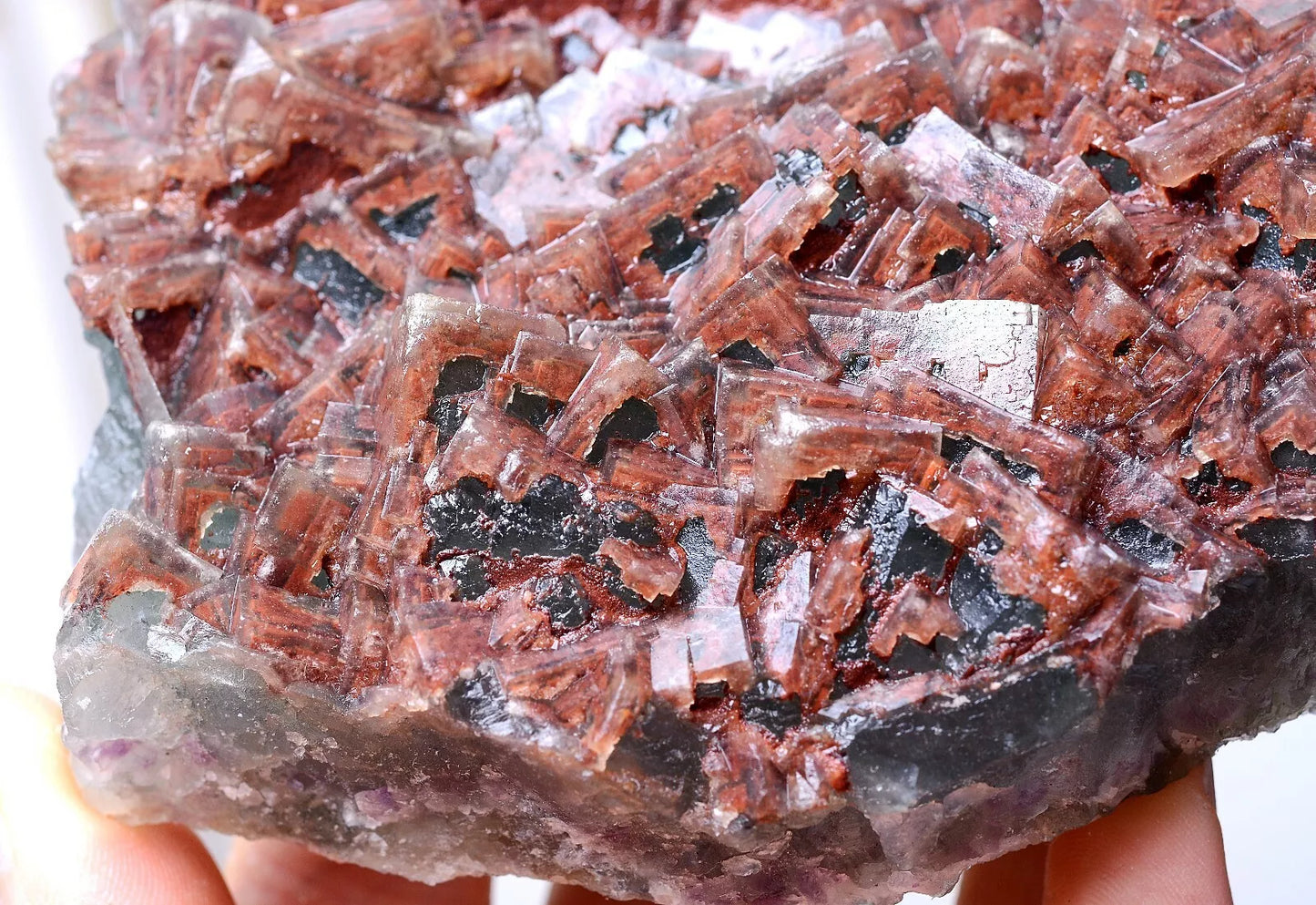 411g Natural Transparent Red "Phantom" Cube Fluorite Cluster Mineral Specimen