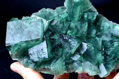 799g NATURAL Beauty Green Cubic FLUORITE Crystal Cluster Mineral Specimen