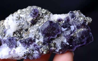 66.35g NEWLY DISCOVERED RARE PURPLE FLUORITE & PYRITE CRYSTAL MINERAL SPECIMEN