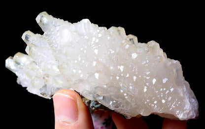 203.5g Beautiful “Angel Wings” White Calcite Crystal Mineral Specimen/China