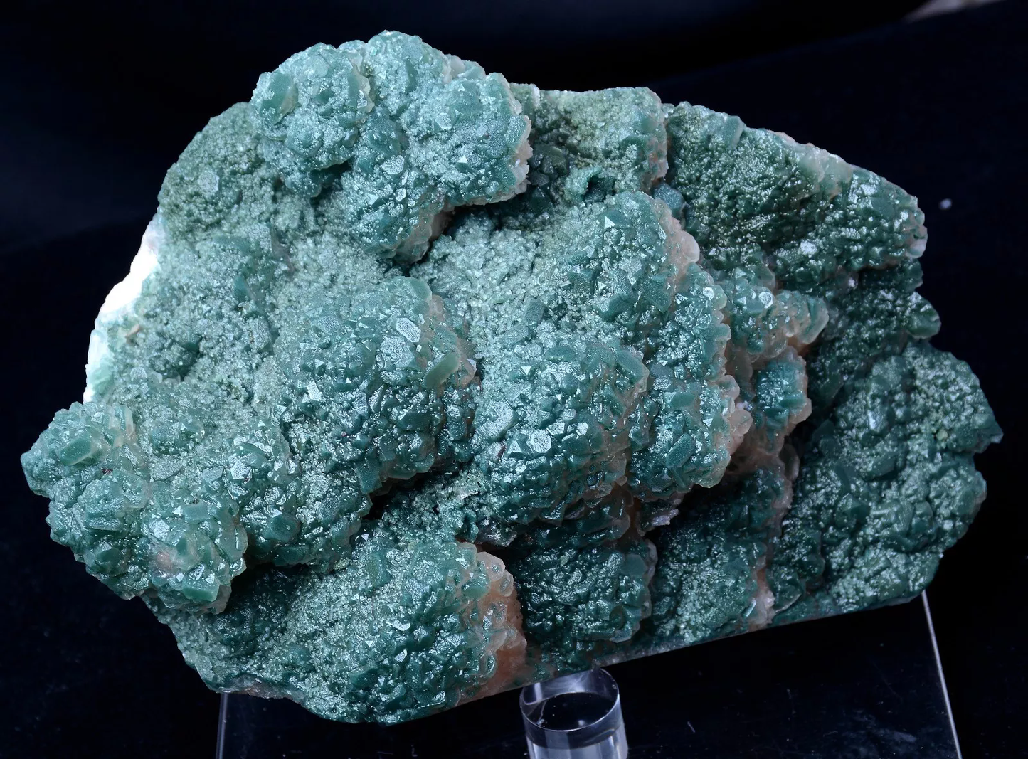 1821g Newly Discovered Green Apophyllite CRYSTAL CLUSTER Mineral Specimen