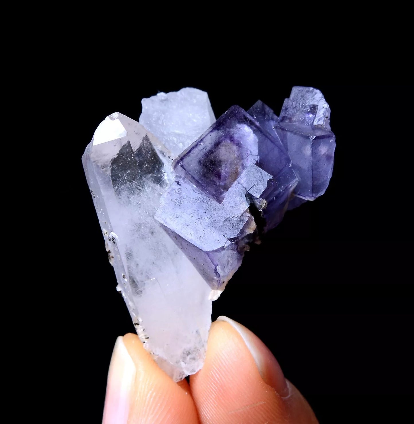 NEWLY DISCOVERED RARE FLUORITE & CRYSTAL SYMBIOTIC MINERAL SAMPLES  11.86g