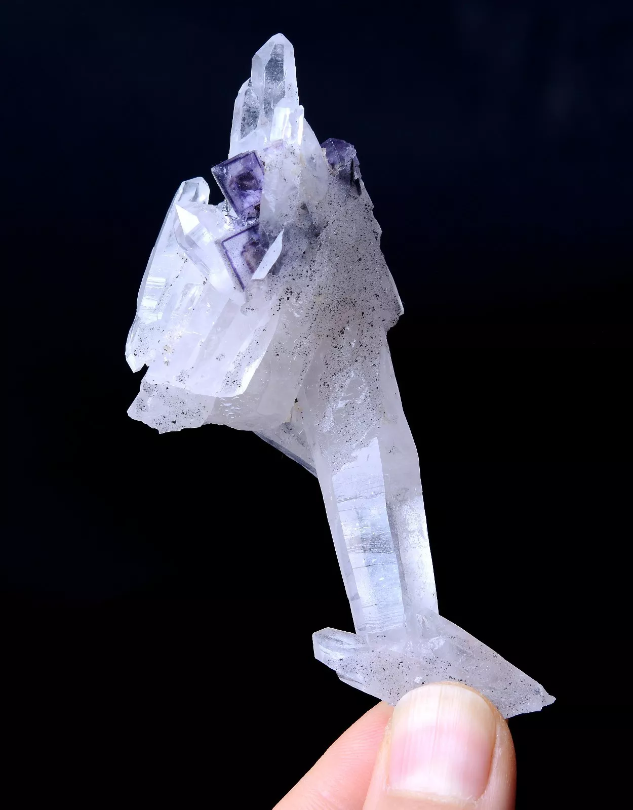 46.93g NEWLY DISCOVERED PURPLE FLUORITE & CRYSTAL SYMBIOTIC MINERAL SAMPLES