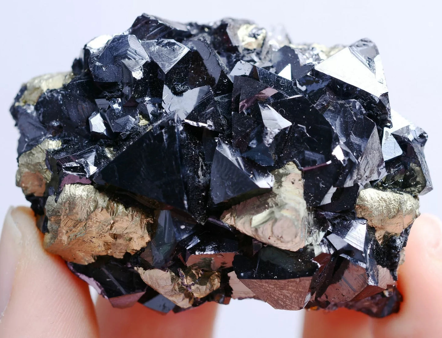 85g Natural Rare Black Marmatite & Pyrite Mineral Specimen/Inner Mongolia China