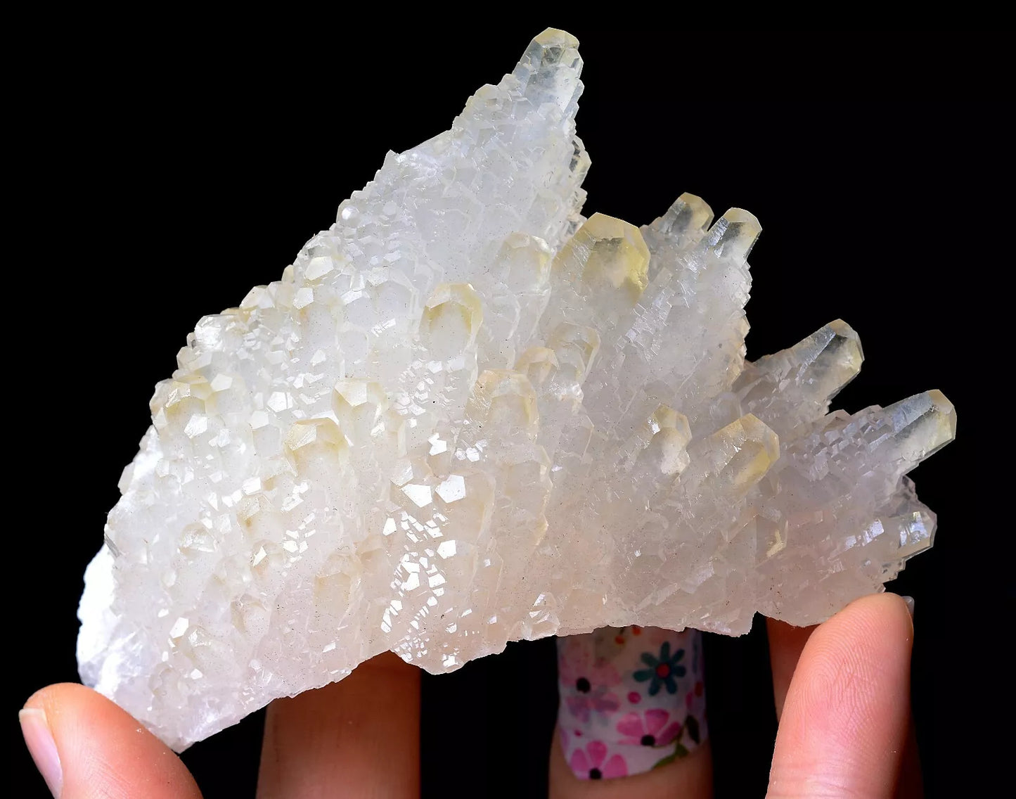 203.5g Beautiful “Angel Wings” White Calcite Crystal Mineral Specimen/China