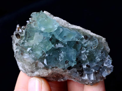 100g Rare Transparent Blue Fluorite & Smoky Quartz Symbiotic Mineral  Specimen