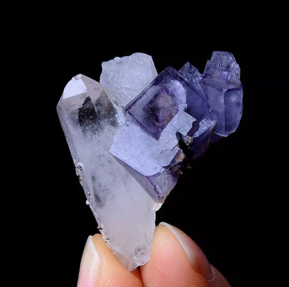 NEWLY DISCOVERED RARE FLUORITE & CRYSTAL SYMBIOTIC MINERAL SAMPLES  11.86g