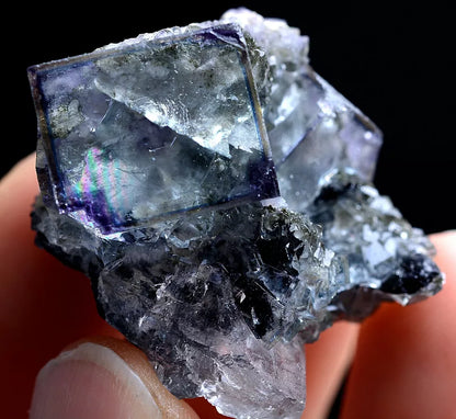 24g Natura Clear Purple FLUORITE Wolframite Mineral Specimen/Yaogangxian China