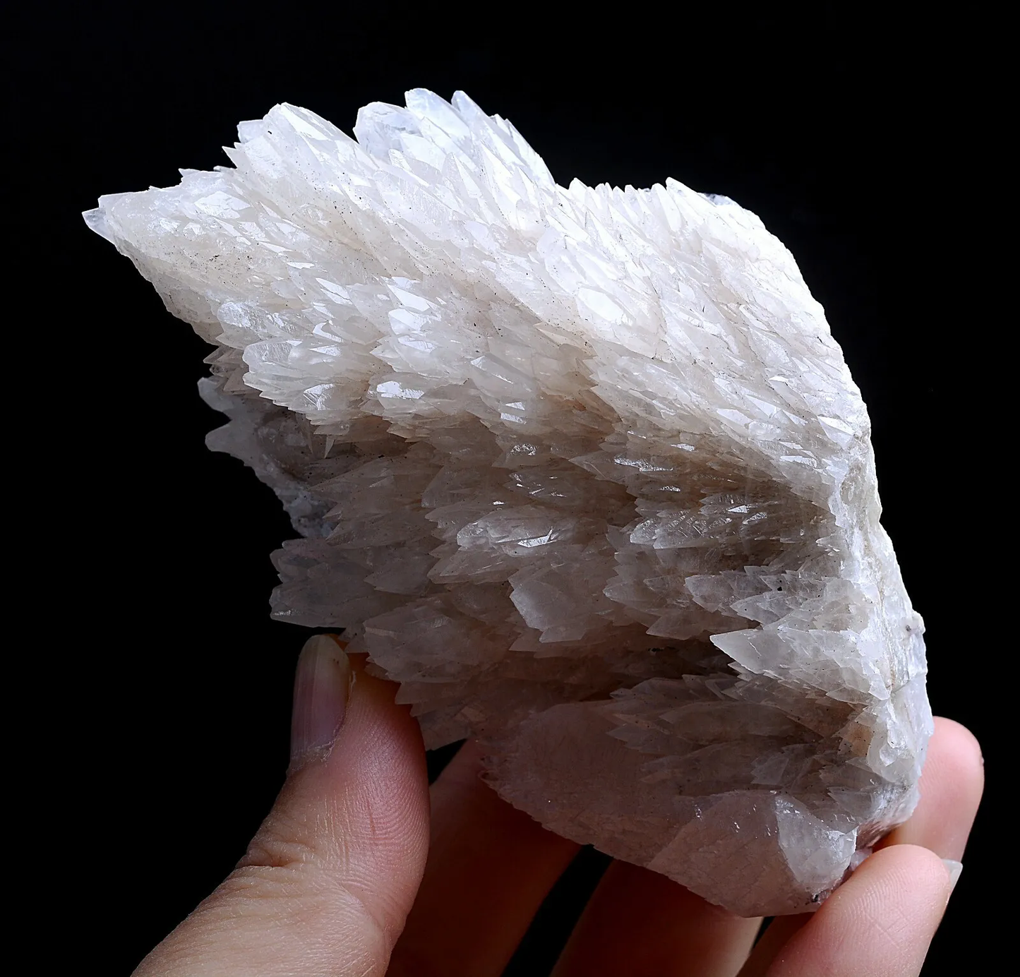 257g Natural Complete “Angel Wings” White Calcite Mineral Specimen/China