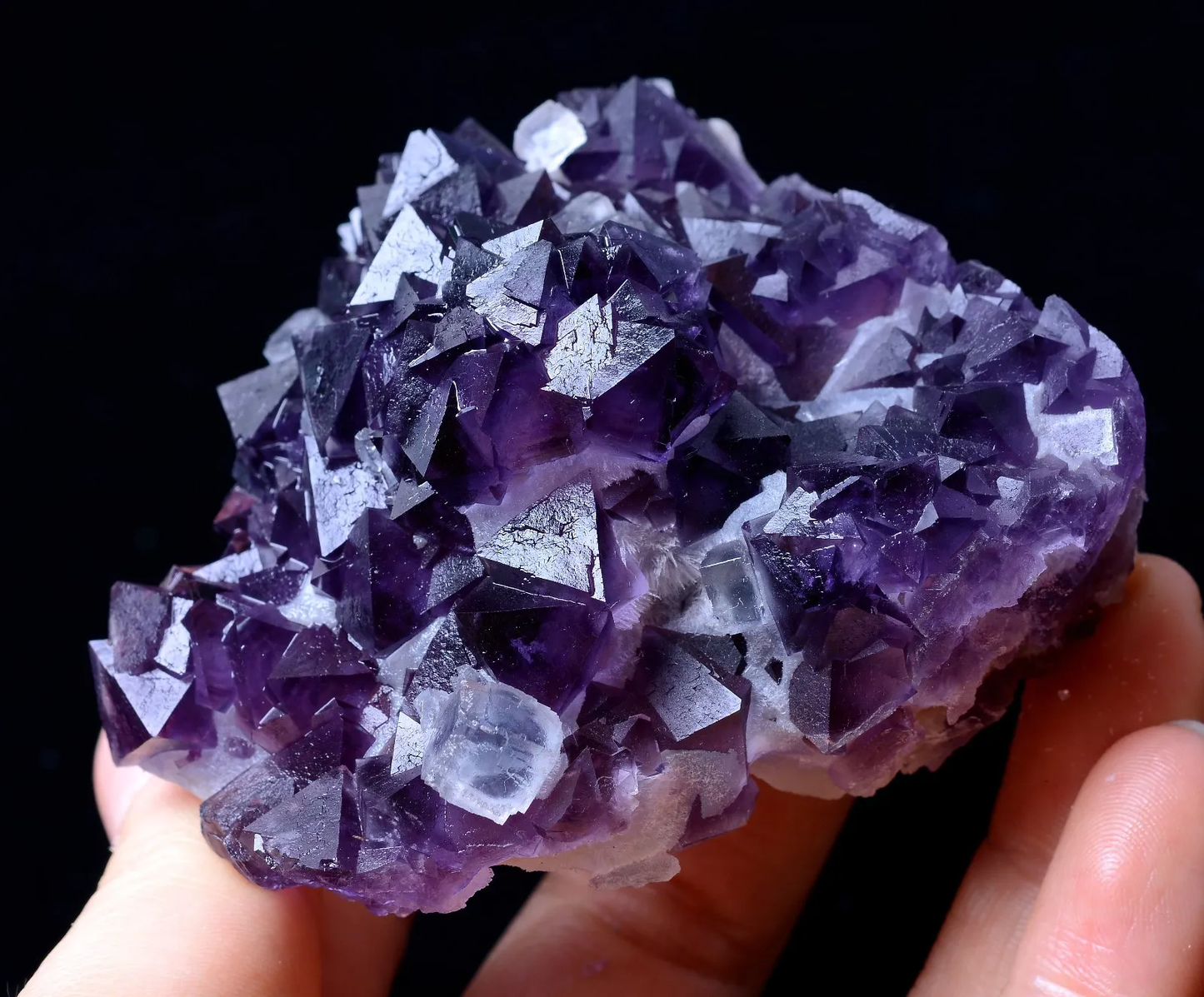 211.68g MUSEUM COLLECTION NEWLY DISCOVERED RARE PURPLE FLUORITE MINERAL SAMPLES